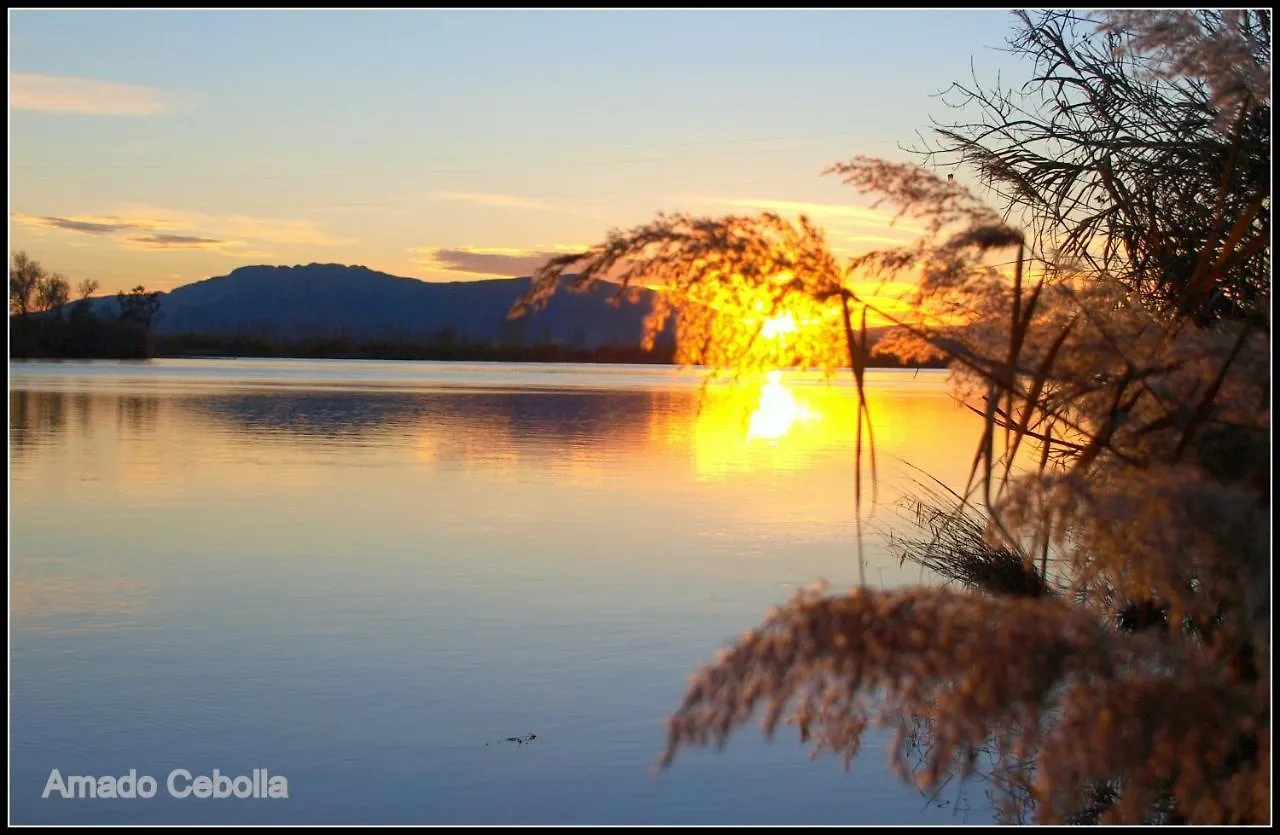 Holiday home Villa Paquita - Delta De L'Ebre Deltebre Spain